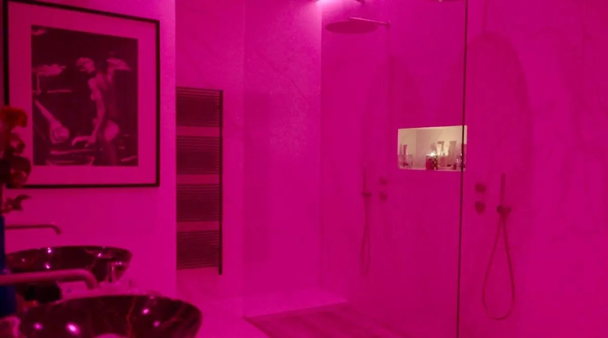 Le Prestige Haussmannien Lägenhet Toulouse